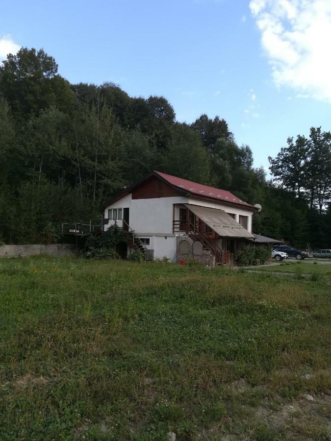 Vila Margareta Curtea De Arges Exterior photo